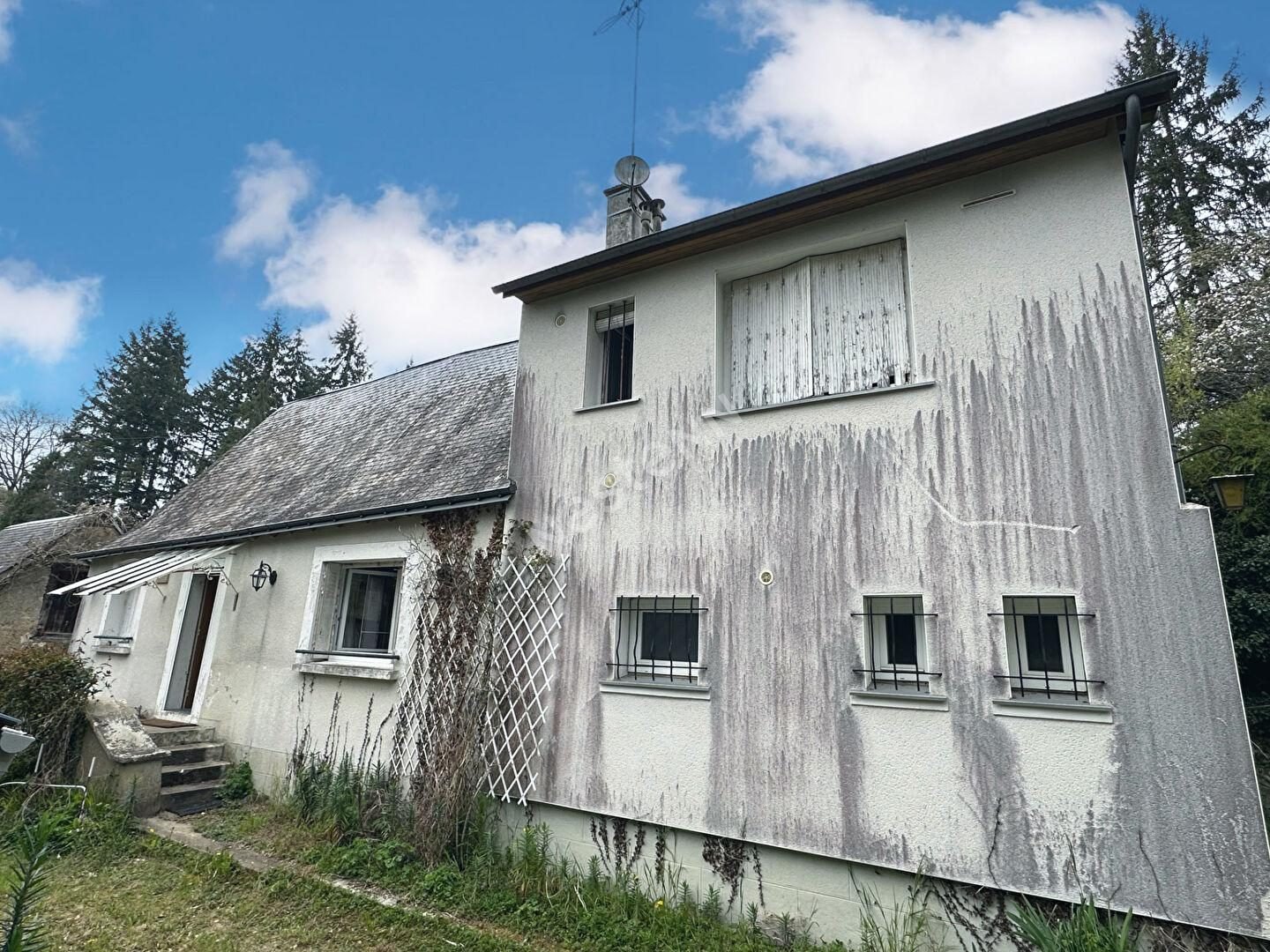 Façade envahie de mousses et de coulures