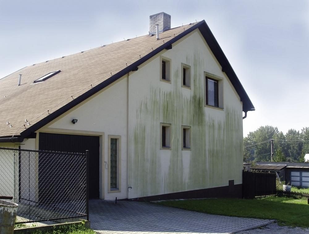 Façade de maison verdie côté garage