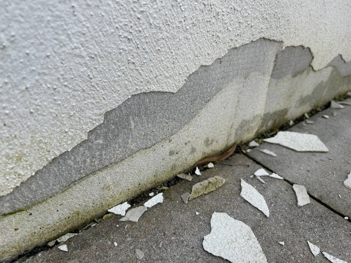 Peinture qui cloque et se décolle en pied de mur