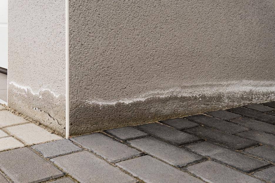 Trace de salpêtre en pied de mur